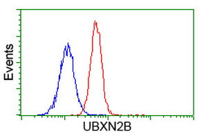 UBXN2B Antibody in Flow Cytometry (Flow)