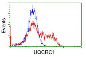 UQCRC1 Antibody in Flow Cytometry (Flow)