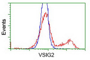 VSIG2 Antibody in Flow Cytometry (Flow)