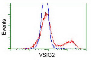 VSIG2 Antibody in Flow Cytometry (Flow)