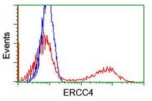 XPF Antibody in Flow Cytometry (Flow)