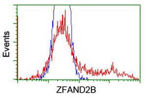 ZFAND2B Antibody in Flow Cytometry (Flow)