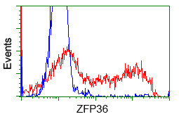 ZFP36 Antibody in Flow Cytometry (Flow)