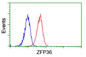 ZFP36 Antibody in Flow Cytometry (Flow)