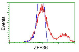 ZFP36 Antibody in Flow Cytometry (Flow)