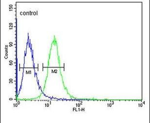 ZNF160 Antibody in Flow Cytometry (Flow)