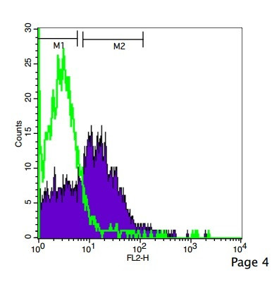 CD4 Antibody in Flow Cytometry (Flow)