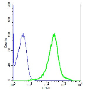 MRP1 Antibody in Flow Cytometry (Flow)