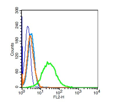 Vimentin Antibody in Flow Cytometry (Flow)