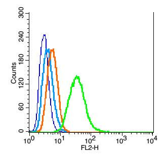 WDR26 Antibody in Flow Cytometry (Flow)