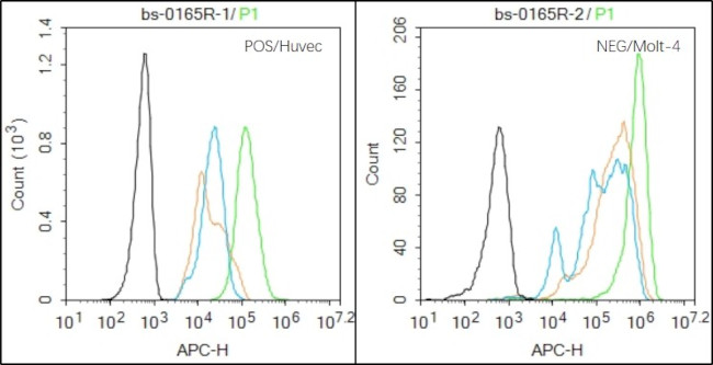 HB9/HLXB9 Antibody in Flow Cytometry (Flow)