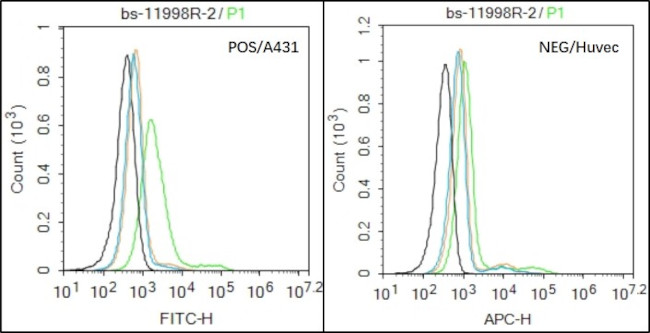 CHRM4/mAChR M4 Antibody in Flow Cytometry (Flow)