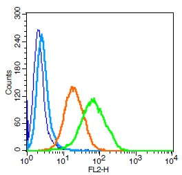 CD171/NCAM-L1 Antibody in Flow Cytometry (Flow)