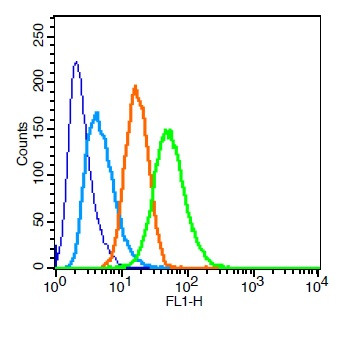 Phospho-GSK3 Alpha/Beta (Tyr279, Tyr216) Antibody in Flow Cytometry (Flow)