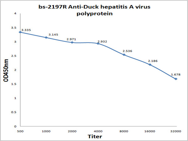 duck hepatitis A virus 1 Genome polyprotein Antibody in ELISA (ELISA)