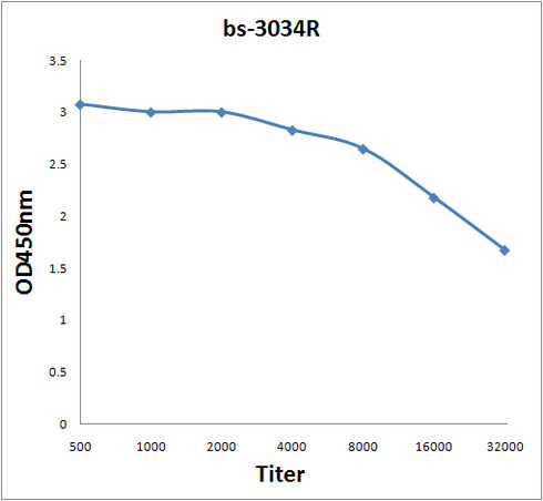 Phospho-ATP1A1 (Tyr10) Antibody in ELISA (ELISA)