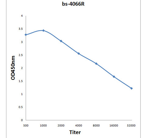 Phospho-CREM (Ser287, Ser290) Antibody in ELISA (ELISA)