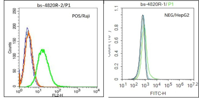 CD45 Antibody in Flow Cytometry (Flow)