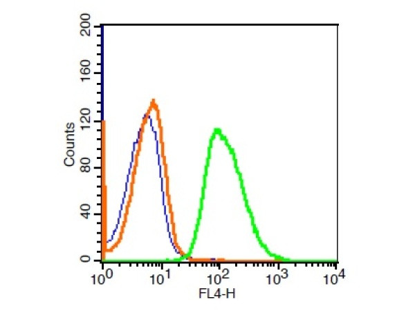 Phospholipase C beta 2 Antibody in Flow Cytometry (Flow)