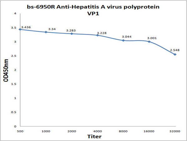 Hepatitis A virus polyprotein VP1 Antibody in ELISA (ELISA)