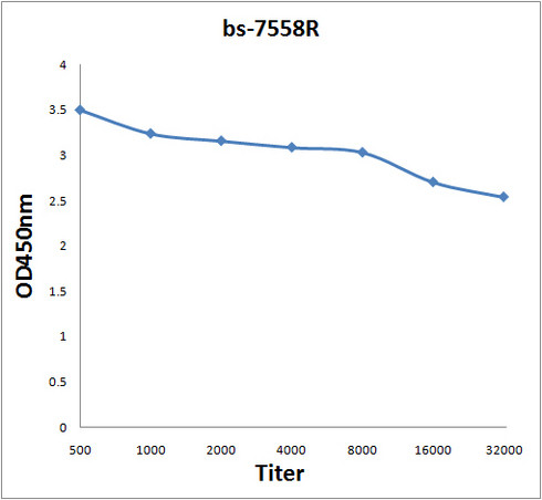 RAB35 Antibody in ELISA (ELISA)