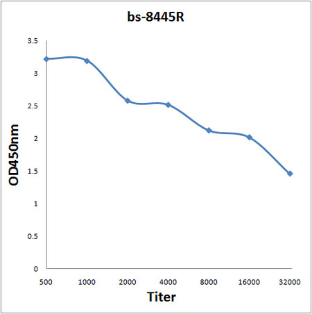 Phospho-Cdc25B (Ser149) Antibody in ELISA (ELISA)