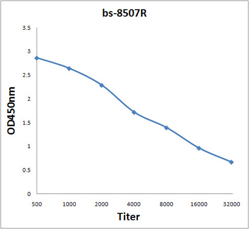 Hairless Antibody in ELISA (ELISA)