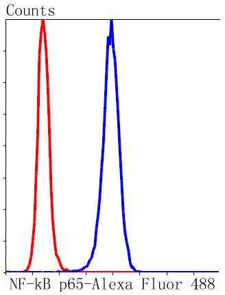 NF-kB p65 Antibody in Flow Cytometry (Flow)