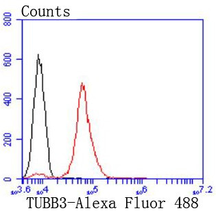 Tubulin beta-III Antibody in Flow Cytometry (Flow)