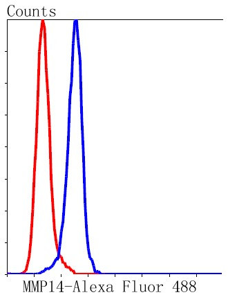 MMP14 Antibody in Flow Cytometry (Flow)