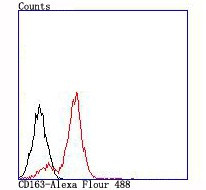 CD163 Antibody in Flow Cytometry (Flow)