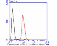 Cytochrome P450 17A1 Antibody in Flow Cytometry (Flow)