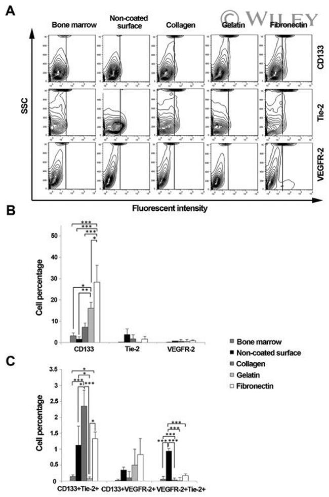 CD202b (TIE2) Antibody in Flow Cytometry (Flow)