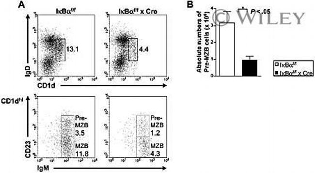 CD23 Antibody in Flow Cytometry (Flow)