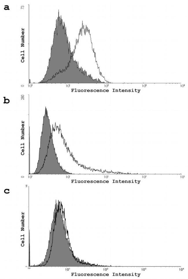 Nectin 1 Antibody in Flow Cytometry (Flow)