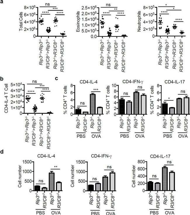 IL-4 Antibody in Flow Cytometry (Flow)