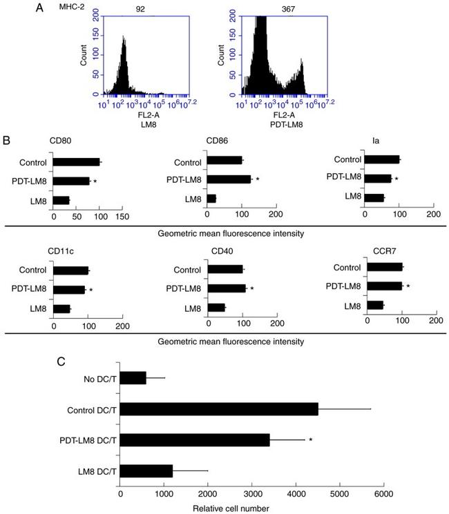 CD11c Antibody