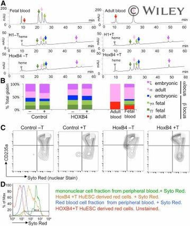 CD235a (Glycophorin A) Antibody in Flow Cytometry (Flow)