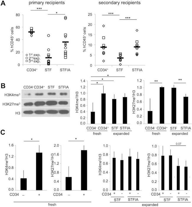 CD45 Antibody in Flow Cytometry (Flow)