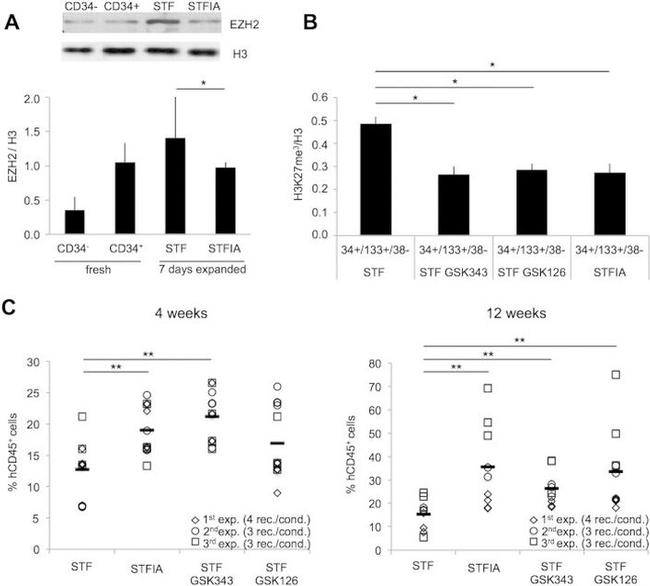 CD45 Antibody in Flow Cytometry (Flow)