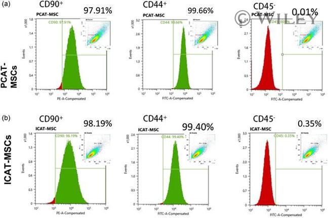 CD45 Antibody in Flow Cytometry (Flow)