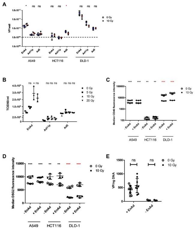 Desmoglein 2 Antibody in Flow Cytometry (Flow)