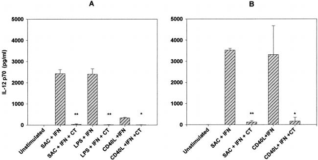 IFN gamma Antibody in ELISA (ELISA)