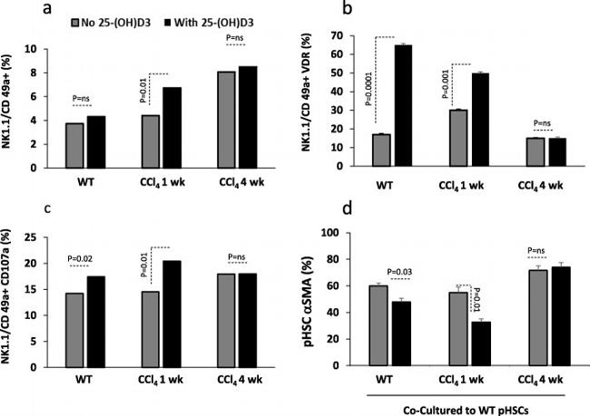 CD107a (LAMP-1) Antibody in Flow Cytometry (Flow)