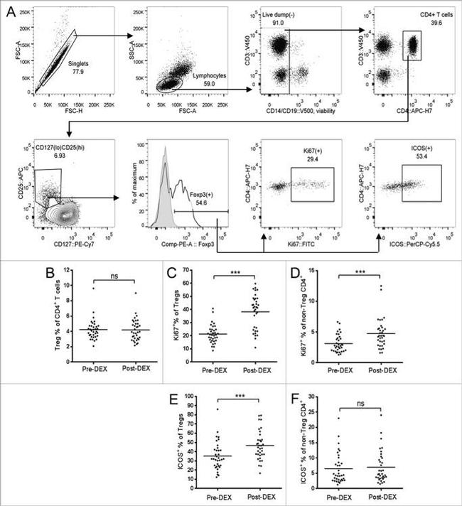 CD127 Antibody in Flow Cytometry (Flow)