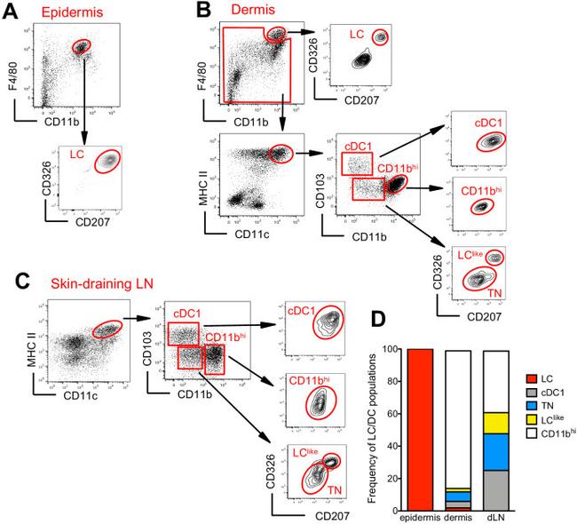 CD209a Antibody in Flow Cytometry (Flow)