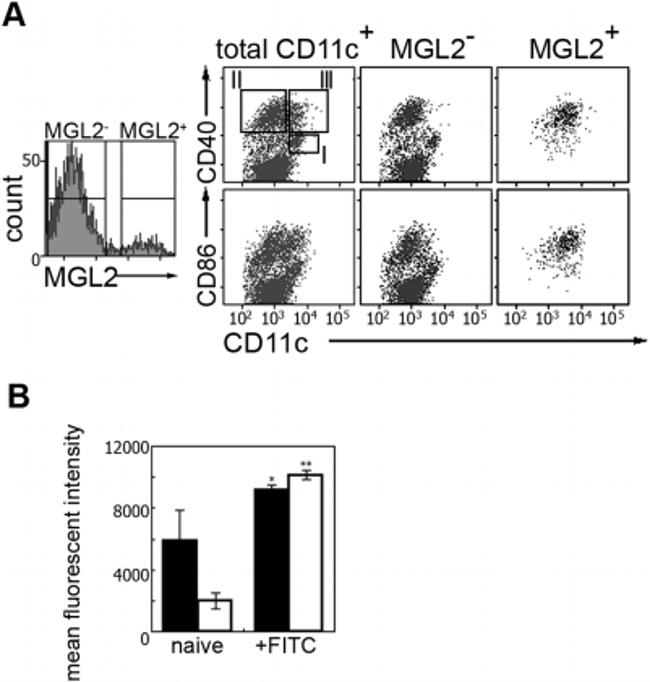 CD301b (MGL2) Antibody in Flow Cytometry (Flow)