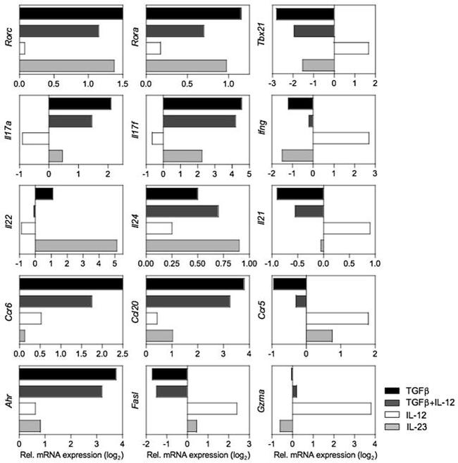 IL-17F Antibody in Flow Cytometry (Flow)