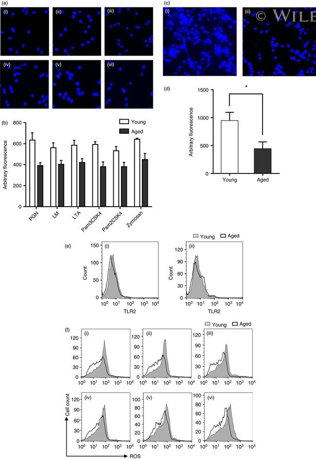 CD282 (TLR2) Antibody in Flow Cytometry (Flow)