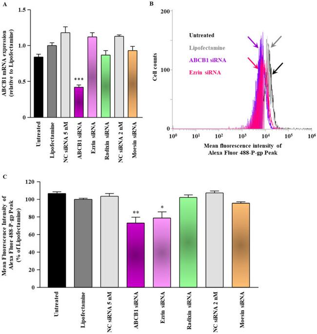 P-Glycoprotein Antibody in Flow Cytometry (Flow)